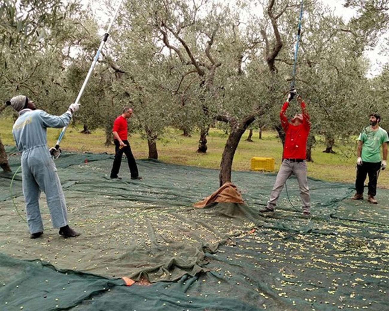 Villa Porto Matzavino Vonitsa Bagian luar foto